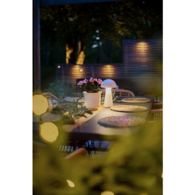 Bordslampa Mushroom vit, Star Trading