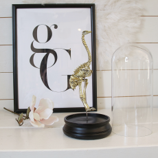 Dinosaurie Skulptur, Mässing on interiör