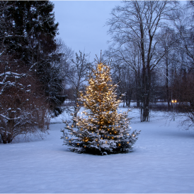Julgransslinga Shiny Warm White, Star Trading