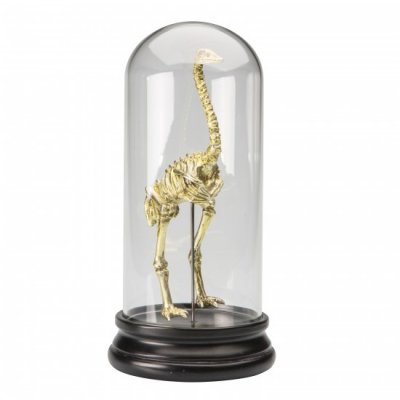 Dinosaurie Skulptur, Mässing on interiör