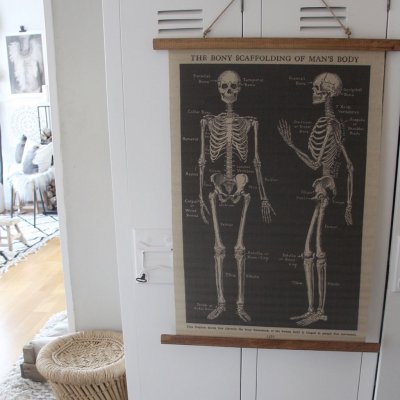 Skelett canvas tavla